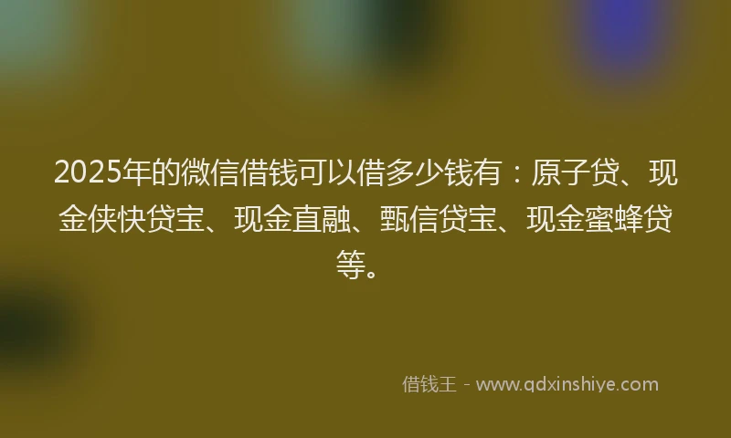 2025年的微信借钱可以借多少钱有：原子贷、现金侠快贷宝、现金直融、甄信贷宝、现金蜜蜂贷等。