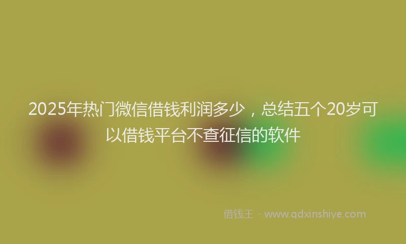 2025年热门微信借钱利润多少，总结五个20岁可以借钱平台不查征信的软件