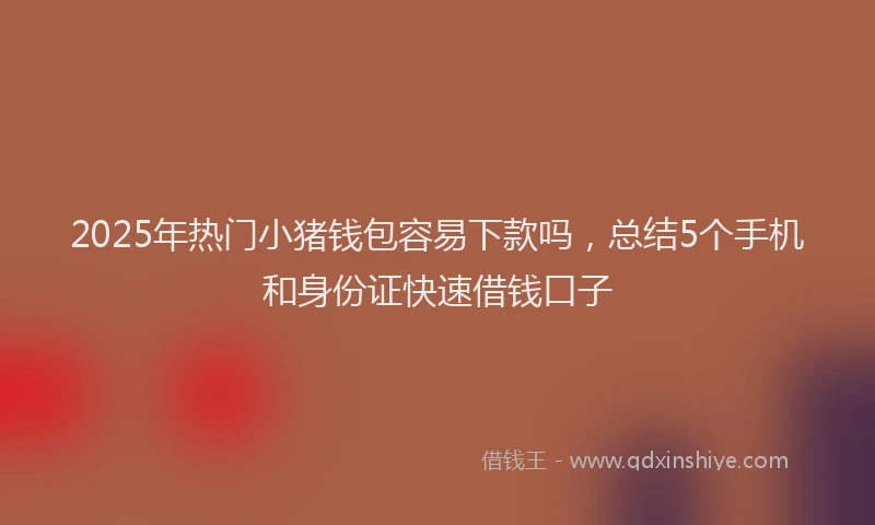 2025年热门小猪钱包容易下款吗，总结5个手机和身份证快速借钱口子