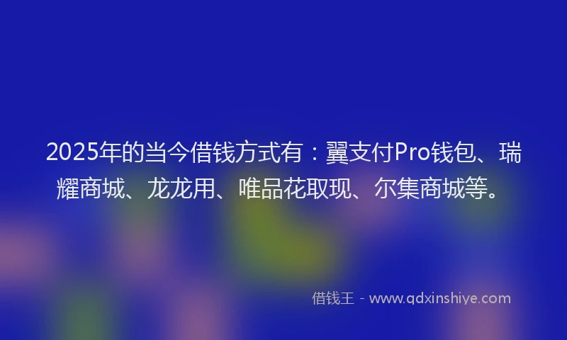 2025年的当今借钱方式有：翼支付Pro钱包、瑞耀商城、龙龙用、唯品花取现、尔集商城等。