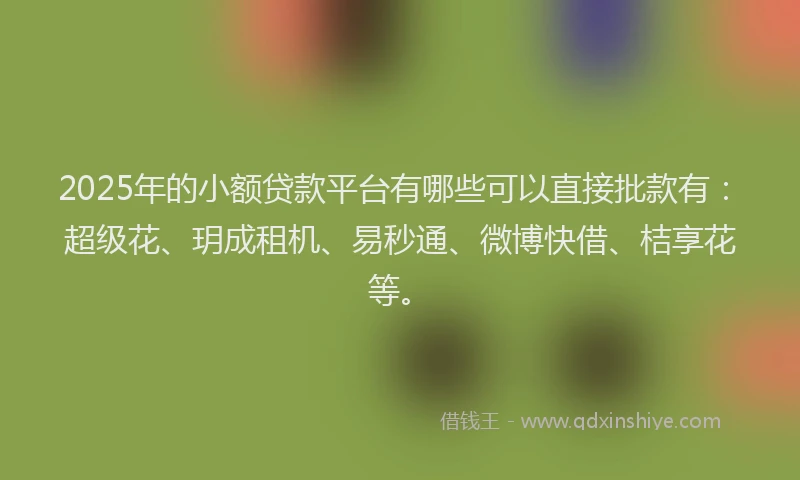 2025年的小额贷款平台有哪些可以直接批款有：超级花、玥成租机、易秒通、微博快借、桔享花等。