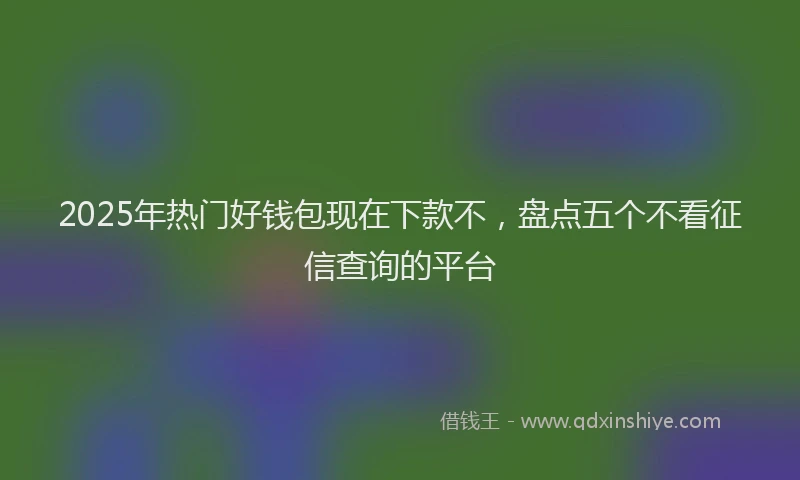 2025年热门好钱包现在下款不，盘点五个不看征信查询的平台