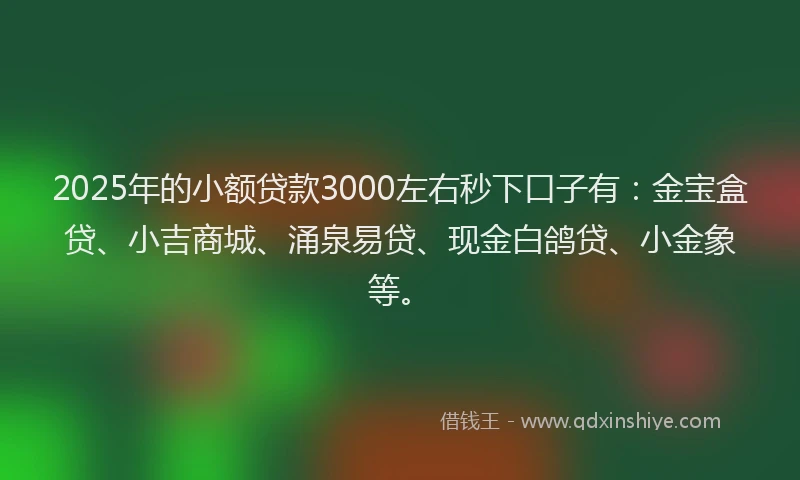 2025年的小额贷款3000左右秒下口子有：金宝盒贷、小吉商城、涌泉易贷、现金白鸽贷、小金象等。