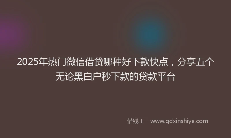 2025年热门微信借贷哪种好下款快点，分享五个无论黑白户秒下款的贷款平台