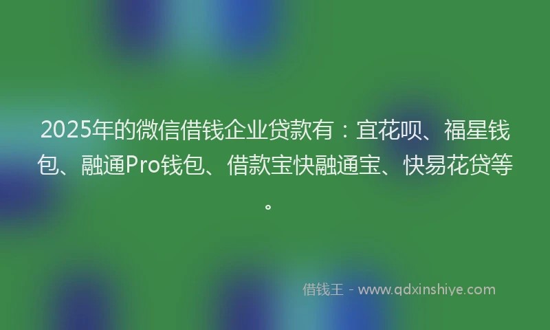 2025年的微信借钱企业贷款有：宜花呗、福星钱包、融通Pro钱包、借款宝快融通宝、快易花贷等。