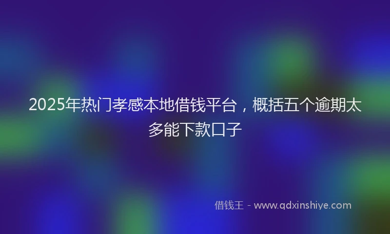 2025年热门孝感本地借钱平台，概括五个逾期太多能下款口子
