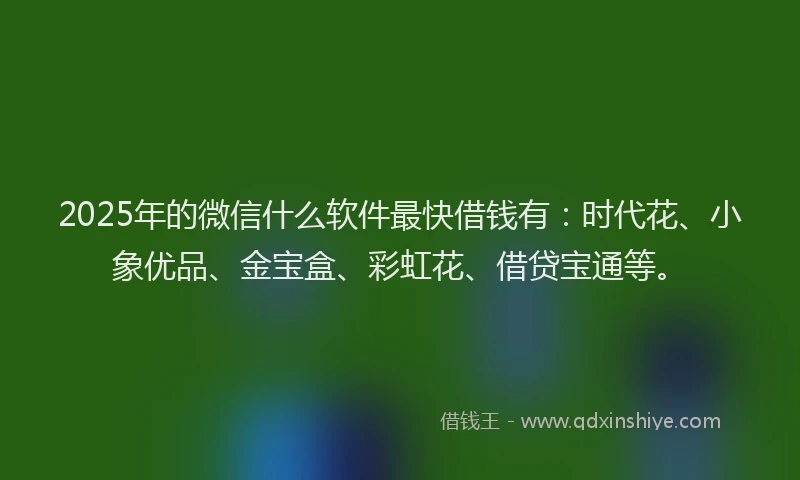 2025年的微信什么软件最快借钱有：时代花、小象优品、金宝盒、彩虹花、借贷宝通等。