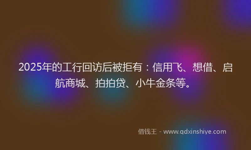 2025年的工行回访后被拒有：信用飞、想借、启航商城、拍拍贷、小牛金条等。