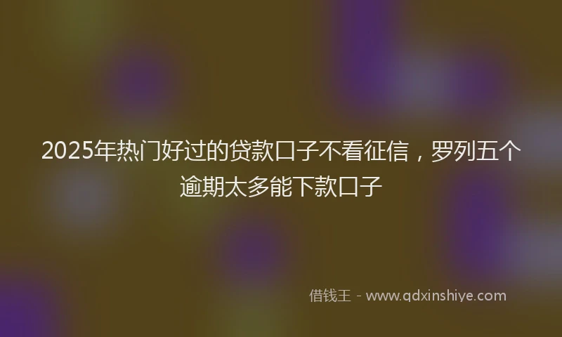 2025年热门好过的贷款口子不看征信，罗列五个逾期太多能下款口子