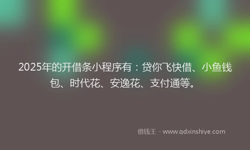2025年的开借条小程序有：贷你飞快借、小鱼钱包、时代花、安逸花、支付通等。
