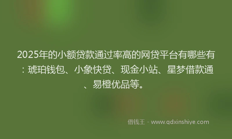 2025年的小额贷款通过率高的网贷平台有哪些有：琥珀钱包、小象快贷、现金小站、星梦借款通、易橙优品等。