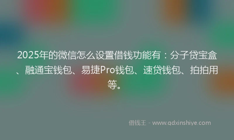 2025年的微信怎么设置借钱功能有：分子贷宝盒、融通宝钱包、易捷Pro钱包、速贷钱包、拍拍用等。