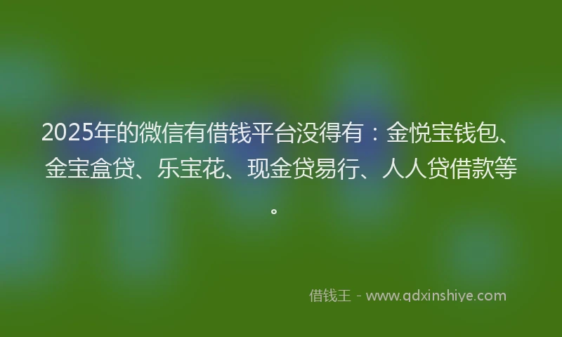 2025年的微信有借钱平台没得有：金悦宝钱包、金宝盒贷、乐宝花、现金贷易行、人人贷借款等。