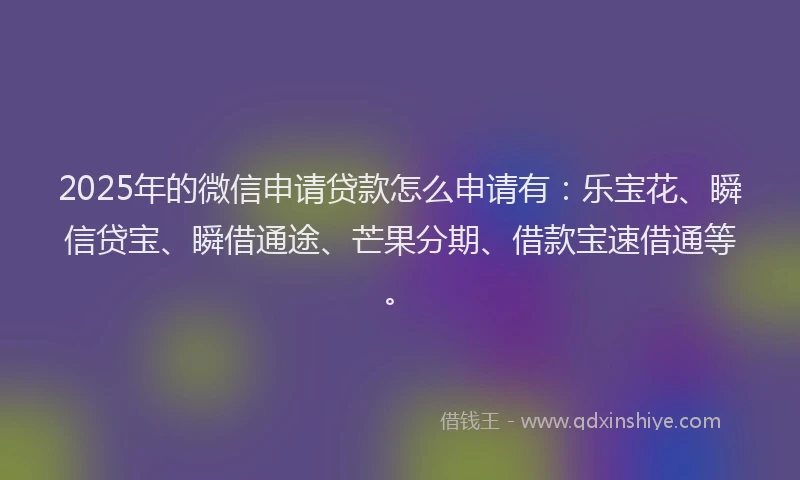 2025年的微信申请贷款怎么申请有：乐宝花、瞬信贷宝、瞬借通途、芒果分期、借款宝速借通等。