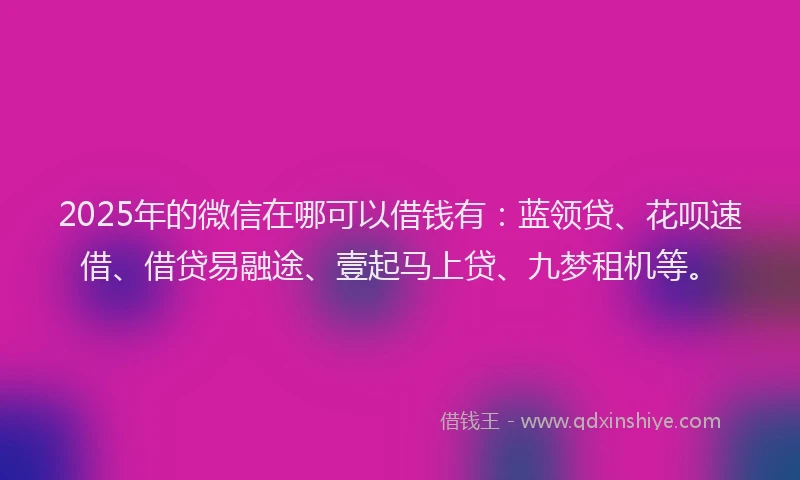 2025年的微信在哪可以借钱有：蓝领贷、花呗速借、借贷易融途、壹起马上贷、九梦租机等。