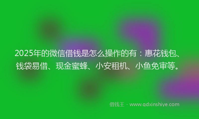 2025年的微信借钱是怎么操作的有：惠花钱包、钱袋易借、现金蜜蜂、小安租机、小鱼免审等。