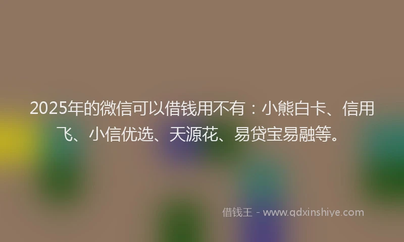 2025年的微信可以借钱用不有：小熊白卡、信用飞、小信优选、天源花、易贷宝易融等。