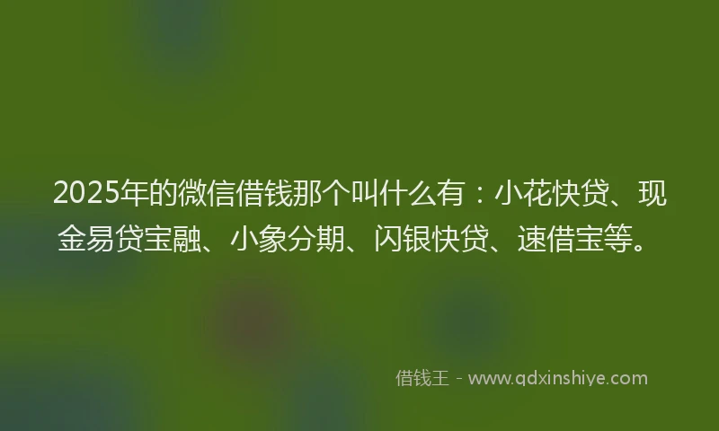 2025年的微信借钱那个叫什么有：小花快贷、现金易贷宝融、小象分期、闪银快贷、速借宝等。