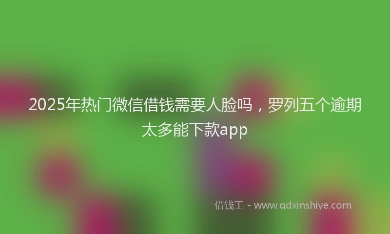 2025年热门微信借钱需要人脸吗，罗列五个逾期太多能下款app