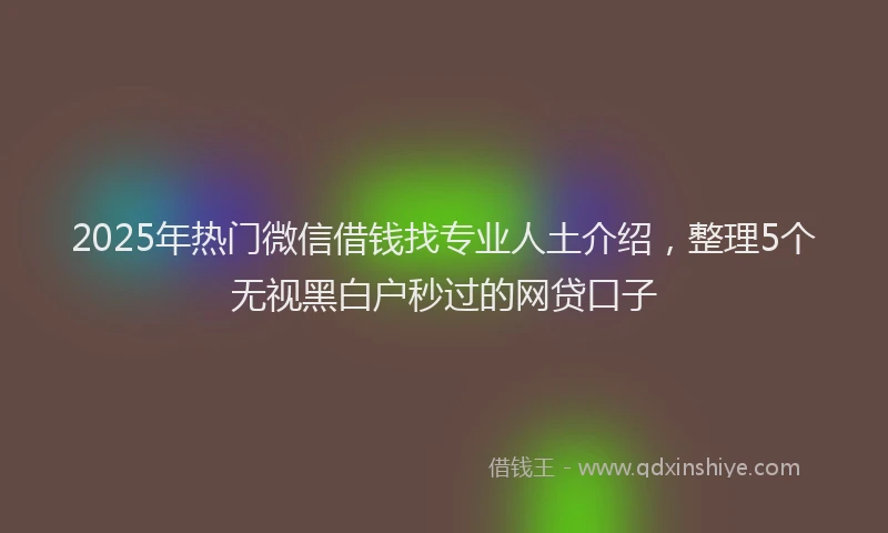 2025年热门微信借钱找专业人土介绍，整理5个无视黑白户秒过的网贷口子