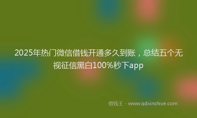 2025年热门微信借钱开通多久到账，总结五个无视征信黑白100%秒下app