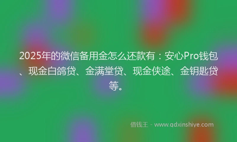 2025年的微信备用金怎么还款有：安心Pro钱包、现金白鸽贷、金满堂贷、现金侠途、金钥匙贷等。