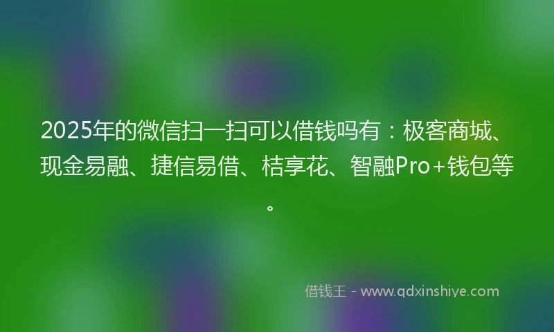 2025年的微信扫一扫可以借钱吗有：极客商城、现金易融、捷信易借、桔享花、智融Pro+钱包等。
