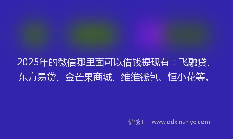 2025年的微信哪里面可以借钱提现有：飞融贷、东方易贷、金芒果商城、维维钱包、恒小花等。