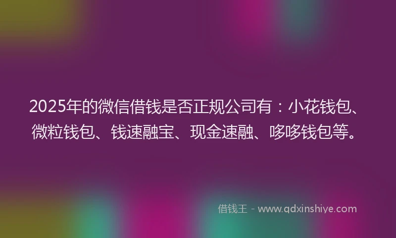 2025年的微信借钱是否正规公司有：小花钱包、微粒钱包、钱速融宝、现金速融、哆哆钱包等。