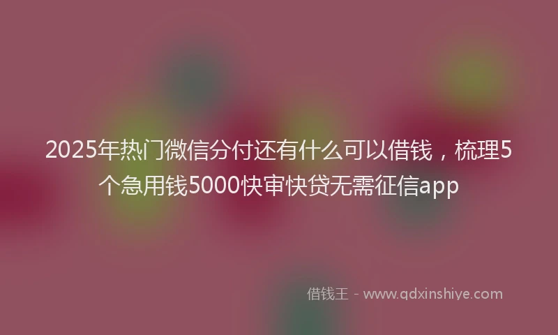 2025年热门微信分付还有什么可以借钱，梳理5个急用钱5000快审快贷无需征信app