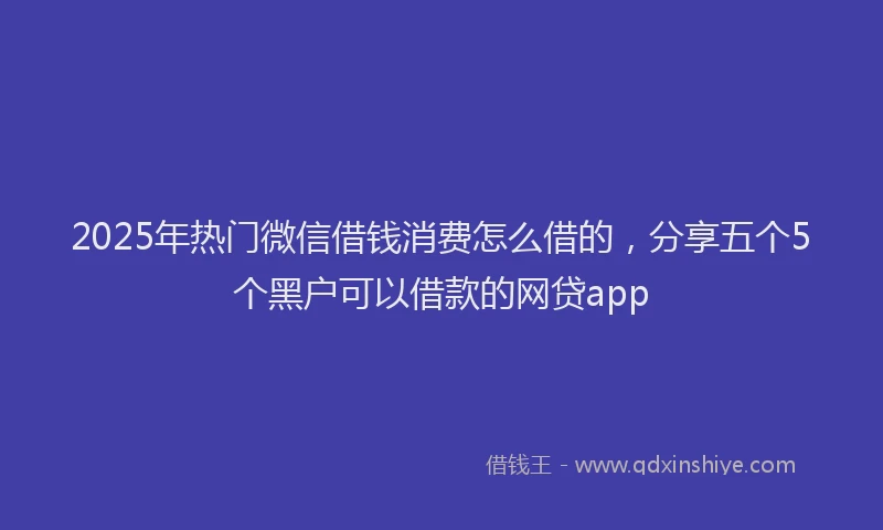 2025年热门微信借钱消费怎么借的，分享五个5个黑户可以借款的网贷app