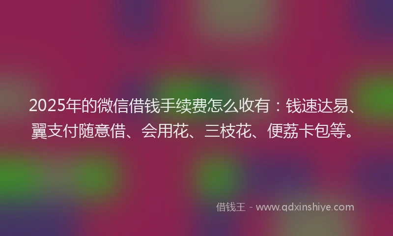 2025年的微信借钱手续费怎么收有：钱速达易、翼支付随意借、会用花、三枝花、便荔卡包等。