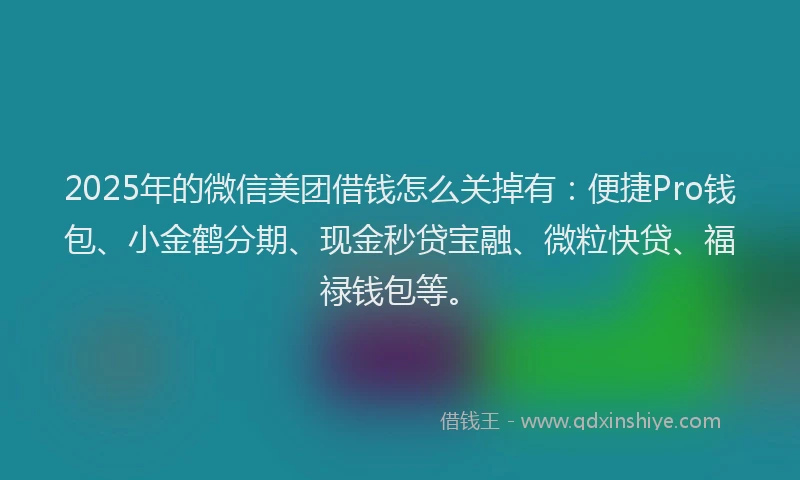 2025年的微信美团借钱怎么关掉有：便捷Pro钱包、小金鹤分期、现金秒贷宝融、微粒快贷、福禄钱包等。