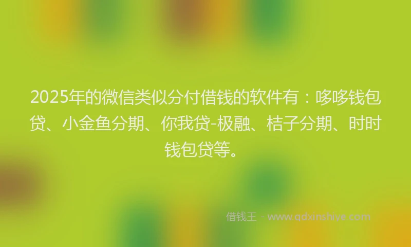2025年的微信类似分付借钱的软件有：哆哆钱包贷、小金鱼分期、你我贷-极融、桔子分期、时时钱包贷等。