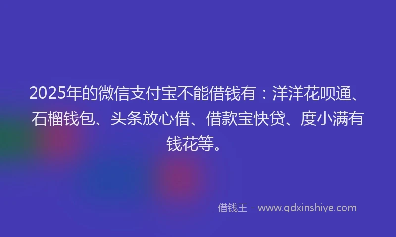 2025年的微信支付宝不能借钱有：洋洋花呗通、石榴钱包、头条放心借、借款宝快贷、度小满有钱花等。