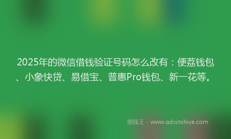 2025年的微信借钱验证号码怎么改有：便荔钱包、小象快贷、易借宝、普惠Pro钱包、新一花等。