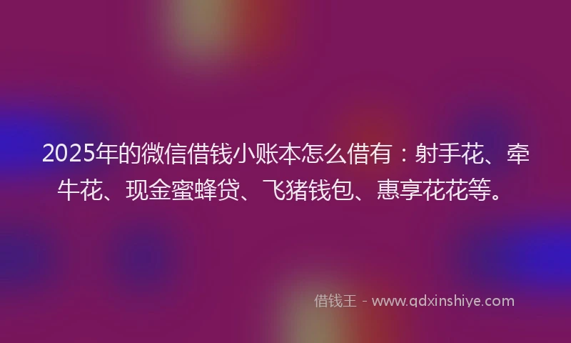 2025年的微信借钱小账本怎么借有：射手花、牵牛花、现金蜜蜂贷、飞猪钱包、惠享花花等。