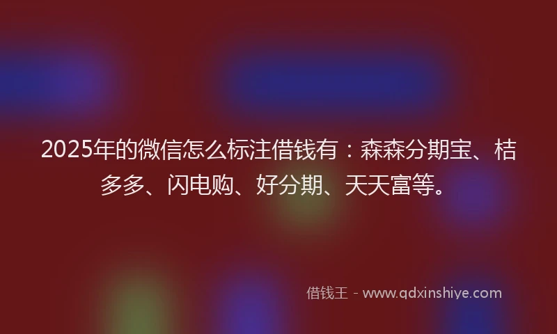 2025年的微信怎么标注借钱有：森森分期宝、桔多多、闪电购、好分期、天天富等。