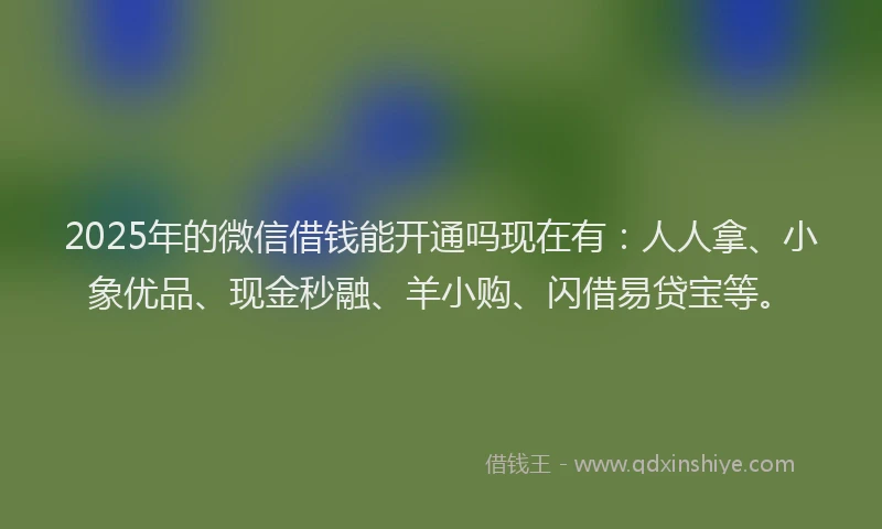 2025年的微信借钱能开通吗现在有：人人拿、小象优品、现金秒融、羊小购、闪借易贷宝等。