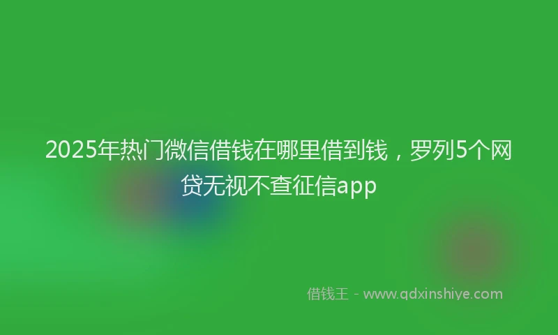 2025年热门微信借钱在哪里借到钱，罗列5个网贷无视不查征信app
