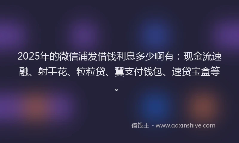 2025年的微信浦发借钱利息多少啊有：现金流速融、射手花、粒粒贷、翼支付钱包、速贷宝盒等。