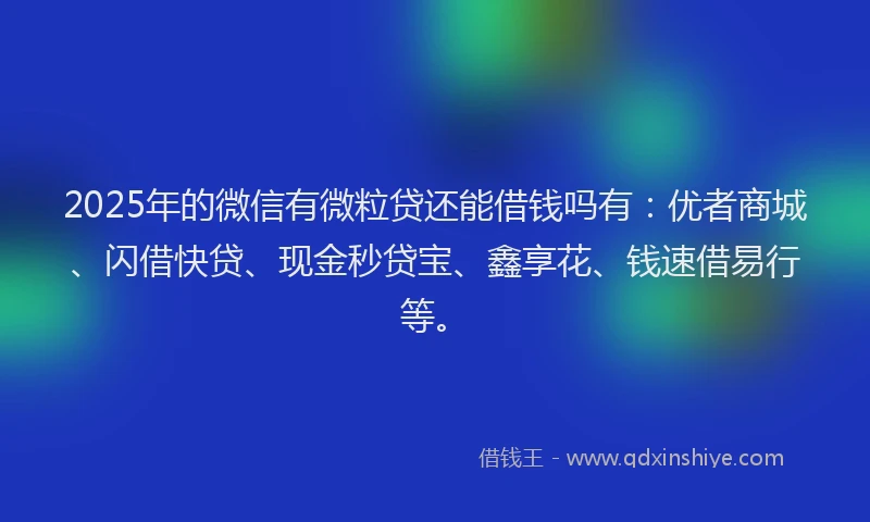 2025年的微信有微粒贷还能借钱吗有：优者商城、闪借快贷、现金秒贷宝、鑫享花、钱速借易行等。