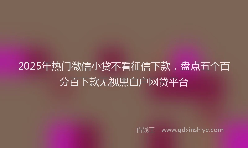 2025年热门微信小贷不看征信下款，盘点五个百分百下款无视黑白户网贷平台