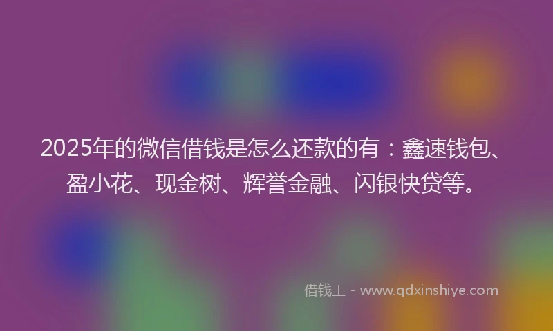2025年的微信借钱是怎么还款的有：鑫速钱包、盈小花、现金树、辉誉金融、闪银快贷等。