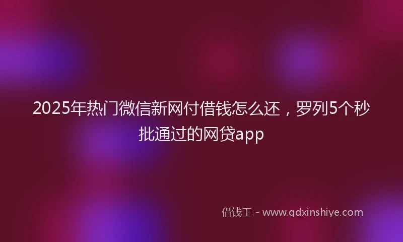 2025年热门微信新网付借钱怎么还，罗列5个秒批通过的网贷app