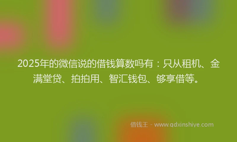 2025年的微信说的借钱算数吗有：只从租机、金满堂贷、拍拍用、智汇钱包、够享借等。