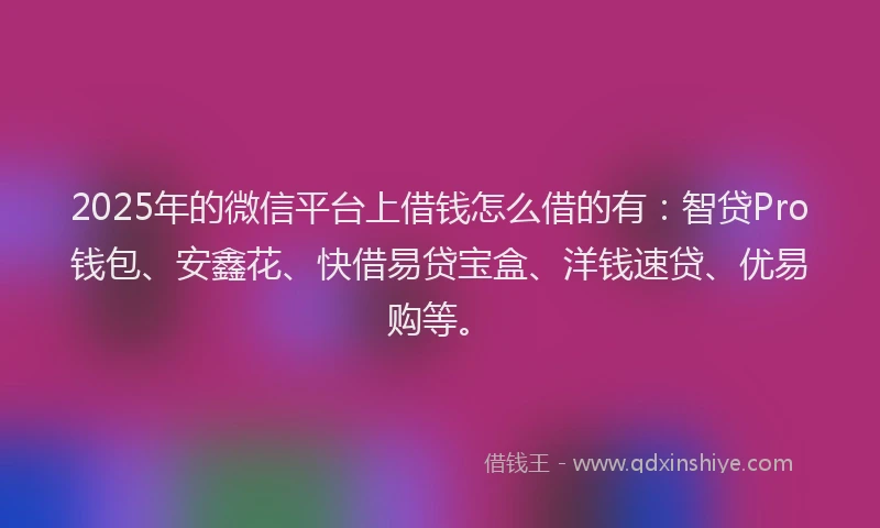 2025年的微信平台上借钱怎么借的有：智贷Pro钱包、安鑫花、快借易贷宝盒、洋钱速贷、优易购等。