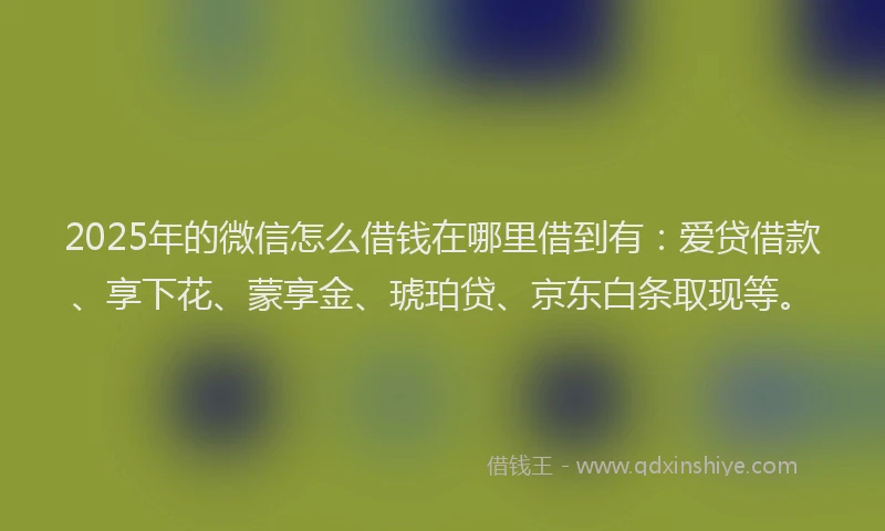 2025年的微信怎么借钱在哪里借到有：爱贷借款、享下花、蒙享金、琥珀贷、京东白条取现等。