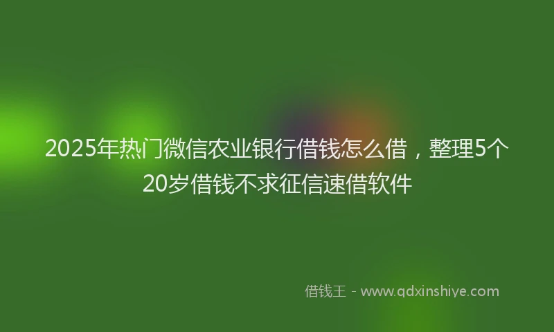 2025年热门微信农业银行借钱怎么借，整理5个20岁借钱不求征信速借软件
