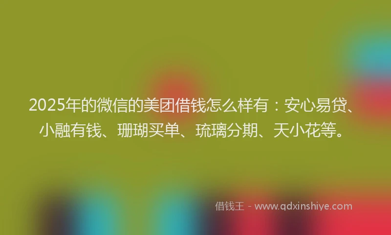 2025年的微信的美团借钱怎么样有：安心易贷、小融有钱、珊瑚买单、琉璃分期、天小花等。